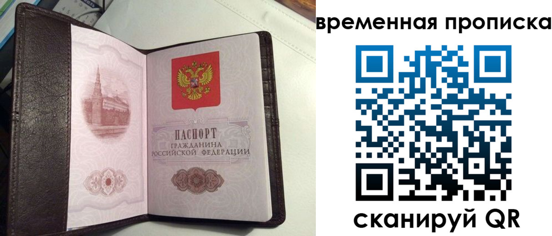 прописка 2025 в Луховицах